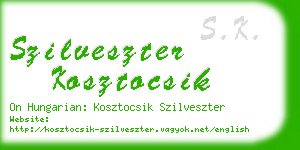 szilveszter kosztocsik business card